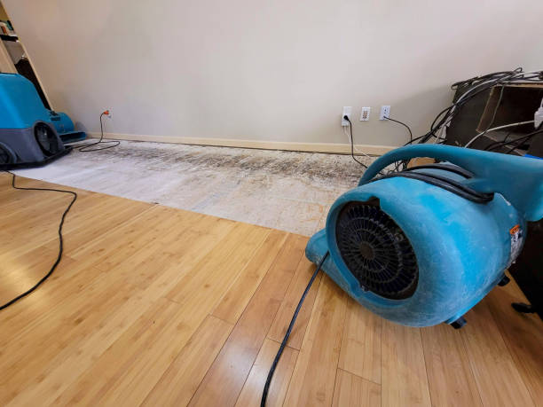 Professional Flood Damage Cleanup technician working in Ada, MI